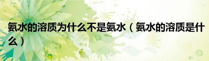 氨水的溶质为什么不是氨水(氨水的溶质是什么)
