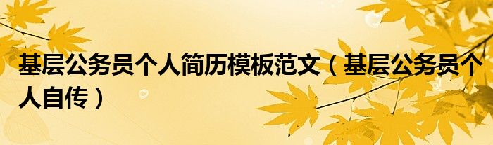 基层公务员个人简历模板范文(基层公务员个人自传)