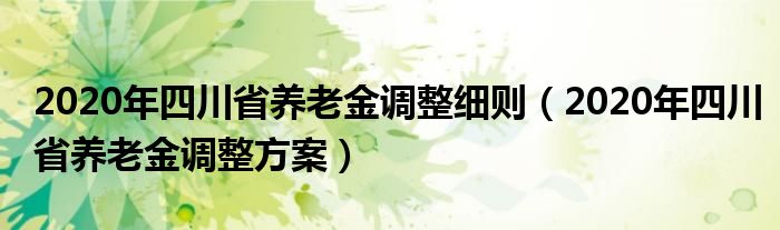 2020年四川省养老金调整细则(2020年四川省养老金调整方案)