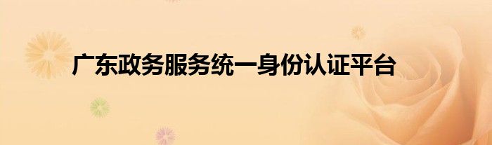 广东政务服务统一身份认证平台