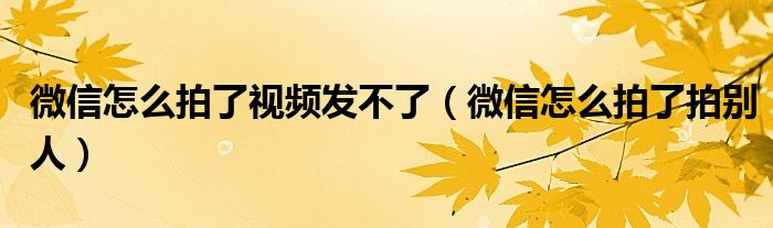 微信怎么拍了视频发不了(微信怎么拍了拍别人)