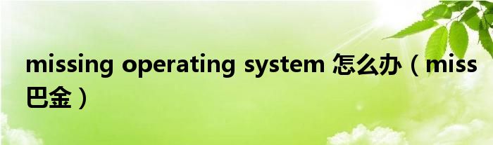 missing operating system 怎么办(miss巴金)