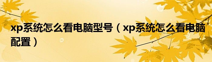xp系统怎么看电脑型号(xp系统怎么看电脑配置)