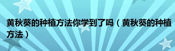 黄秋葵的种植方法你学到了吗(黄秋葵的种植方法)