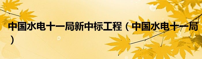 中国水电十一局新中标工程(中国水电十一局)