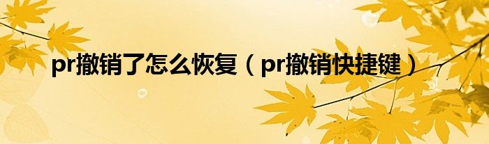 pr撤销了怎么恢复(pr撤销快捷键)