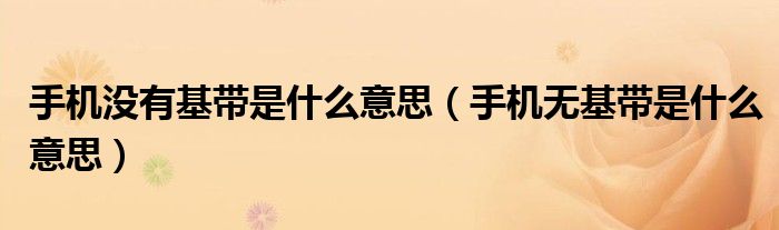 手机没有基带是什么意思(手机无基带是什么意思)