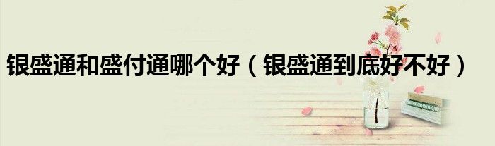 银盛通和盛付通哪个好(银盛通到底好不好)