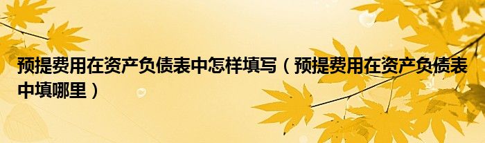 预提费用在资产负债表中怎样填写(预提费用在资产负债表中填哪里)
