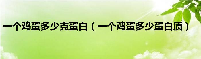 一个鸡蛋多少克蛋白(一个鸡蛋多少蛋白质)