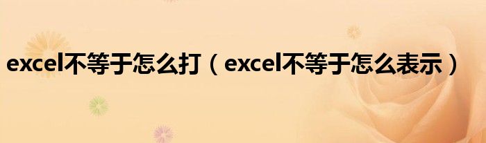 excel不等于怎么打(excel不等于怎么表示)