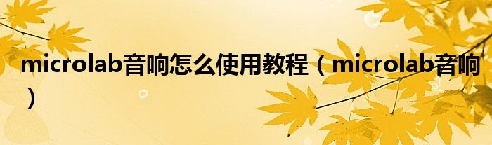 microlab音响怎么使用教程(microlab音响)
