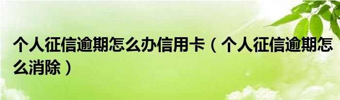 个人征信逾期怎么办信用卡(个人征信逾期怎么消除)