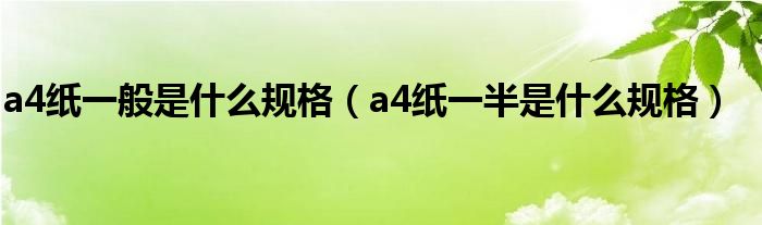 a4纸一般是什么规格(a4纸一半是什么规格)