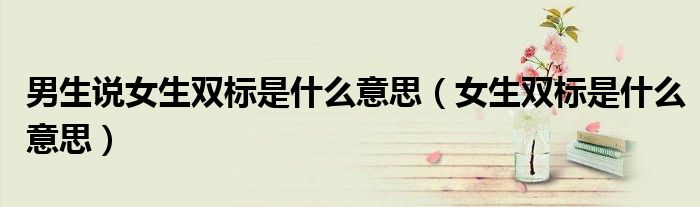 男生说女生双标是什么意思(女生双标是什么意思)