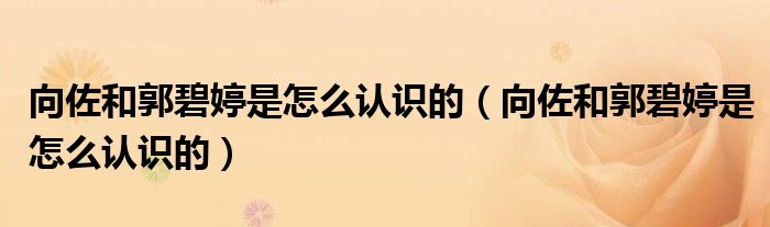 向佐和郭碧婷是怎么认识的(向佐和郭碧婷是怎么认识的)