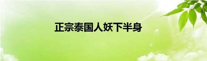 正宗泰国人妖下半身