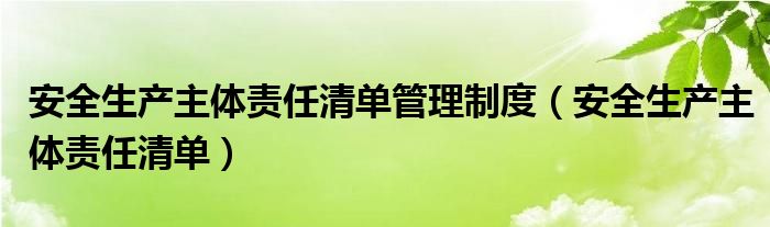安全生产主体责任清单管理制度(安全生产主体责任清单)