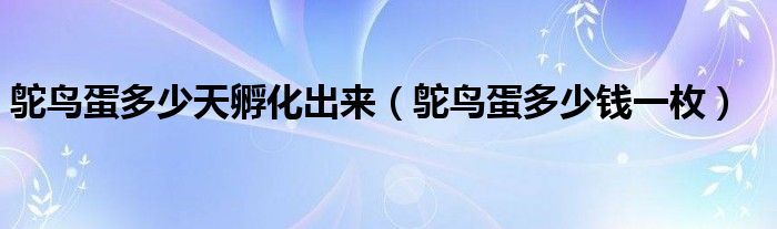 鸵鸟蛋多少天孵化出来(鸵鸟蛋多少钱一枚)