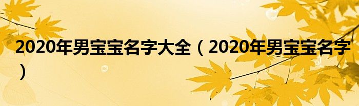 2020年男宝宝名字大全（2020年男宝宝名字）
