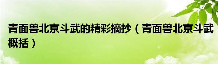 青面兽北京斗武的精彩摘抄(青面兽北京斗武概括)