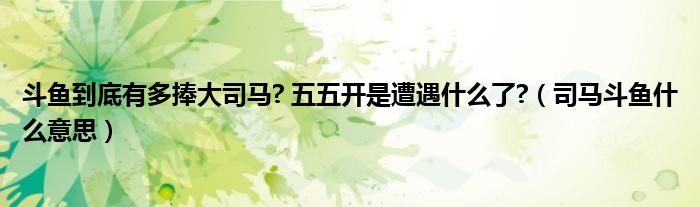 斗鱼到底有多捧大司马? 五五开是遭遇什么了?(司马斗鱼什么意思)