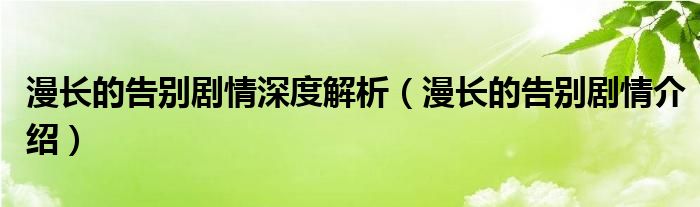 漫长的告别剧情深度解析(漫长的告别剧情介绍)