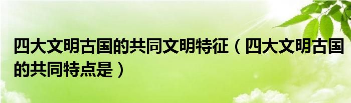 四大文明古国的共同文明特征(四大文明古国的共同特点是)