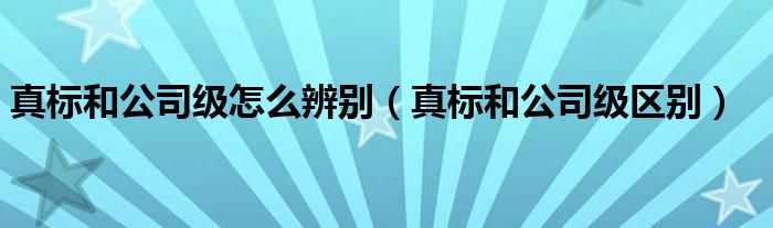 真标和公司级怎么辨别(真标和公司级区别)