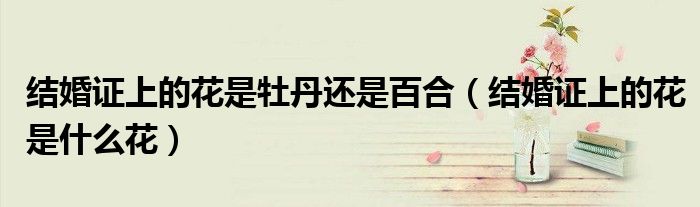 结婚证上的花是牡丹还是百合(结婚证上的花是什么花)