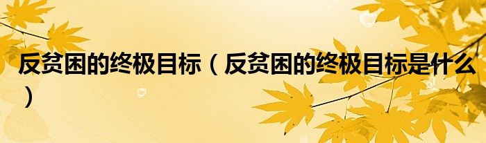 反贫困的终极目标(反贫困的终极目标是什么)