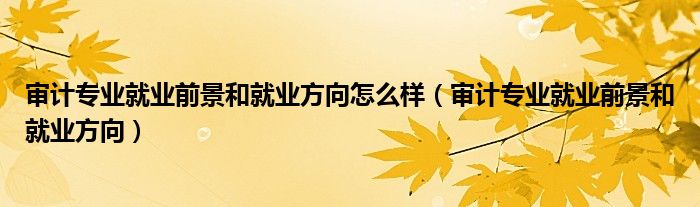 审计专业就业前景和就业方向怎么样(审计专业就业前景和就业方向)