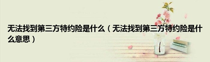 无法找到第三方特约险是什么(无法找到第三方特约险是什么意思)
