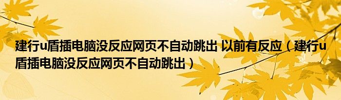 建行u盾插电脑没反应网页不自动跳出 以前有反应(建行u盾插电脑没反应网页不自动跳出)