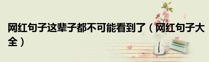 网红句子这辈子都不可能看到了(网红句子大全)