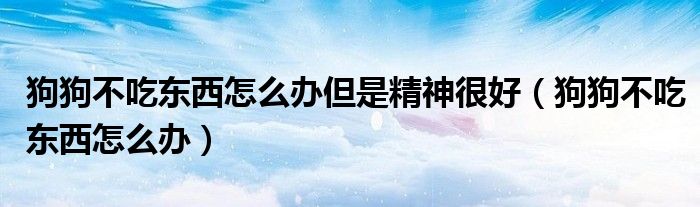 狗狗不吃东西怎么办但是精神很好(狗狗不吃东西怎么办)