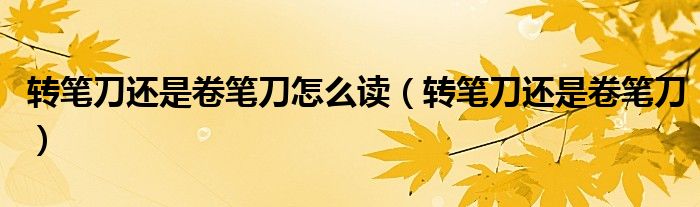 转笔刀还是卷笔刀怎么读(转笔刀还是卷笔刀)