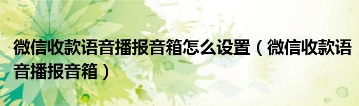 微信收款语音播报音箱怎么设置(微信收款语音播报音箱)