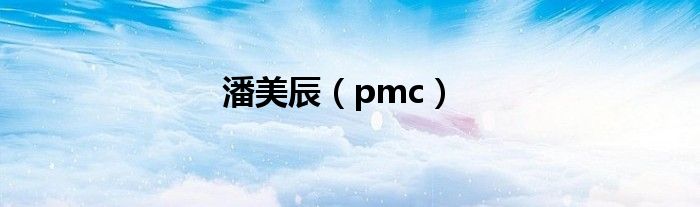 潘美辰（pmc）