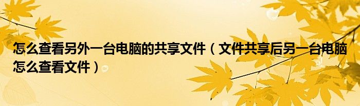 怎么查看另外一台电脑的共享文件(文件共享后另一台电脑怎么查看文件)