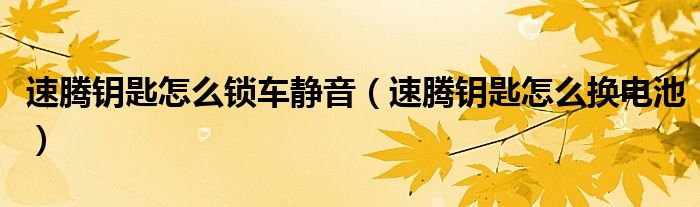 速腾钥匙怎么锁车静音(速腾钥匙怎么换电池)