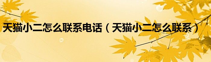 天猫小二怎么联系电话(天猫小二怎么联系)