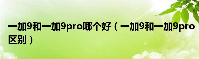 一加9和一加9pro哪个好（一加9和一加9pro区别）