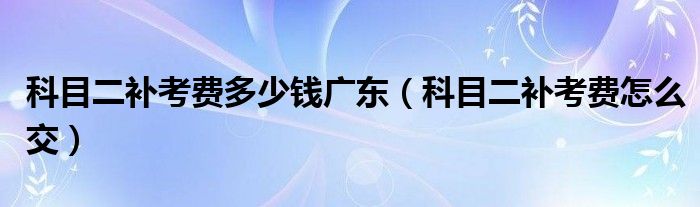 科目二补考费多少钱广东（科目二补考费怎么交）