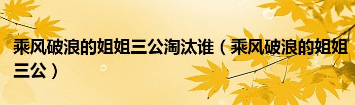乘风破浪的姐姐三公淘汰谁(乘风破浪的姐姐三公)