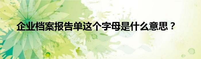 企业档案报告单这个字母是什么意思?