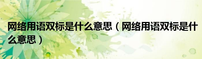 网络用语双标是什么意思(网络用语双标是什么意思)