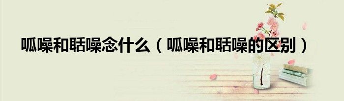 呱噪和聒噪念什么(呱噪和聒噪的区别)