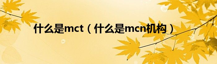 什么是mct（什么是mcn机构）