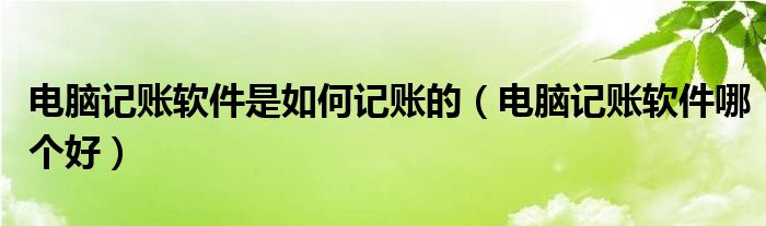 电脑记账软件是如何记账的(电脑记账软件哪个好)